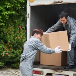 Movers LoadingBoxes in Van Movers LoadingBoxes in Van